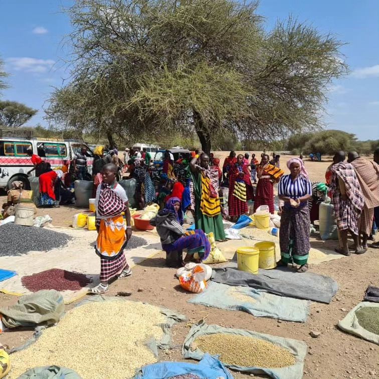 Community market scene